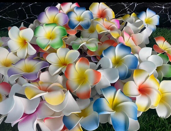 Fleurs à Cheveux Tropicales