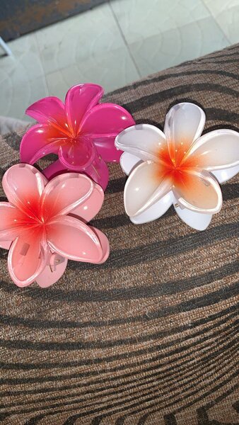 Pinces à cheveux fleurs colorées