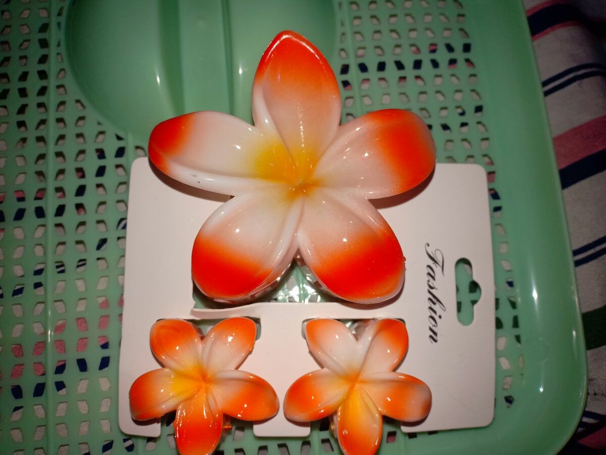 Pinces à cheveux fleurs tropicales