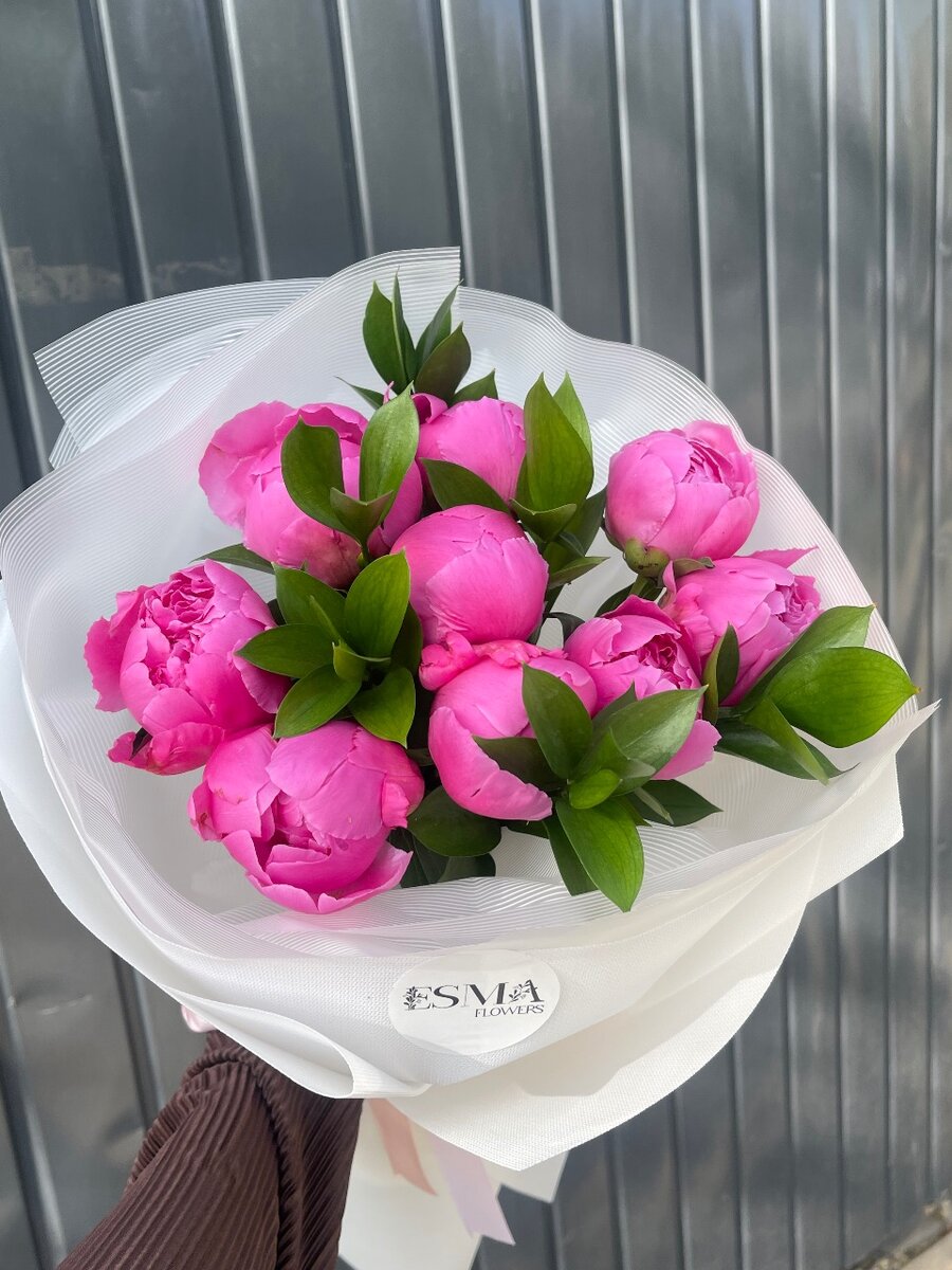 Пионы в сезоне