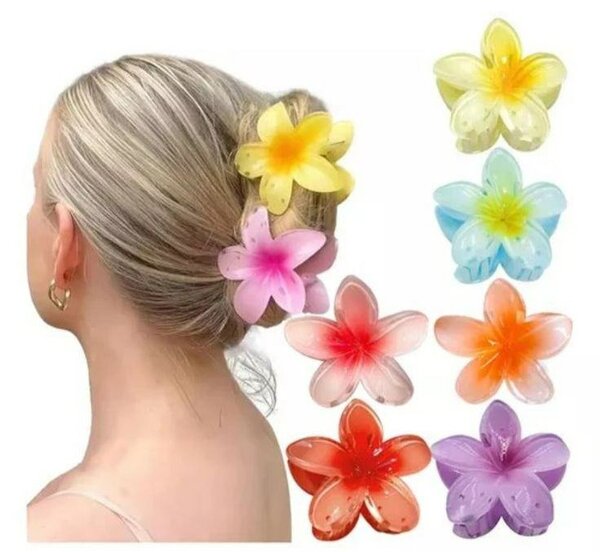 Pinces fleurs colorées cheveux
