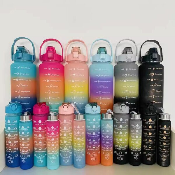 3 in 1 PC Water Bottle