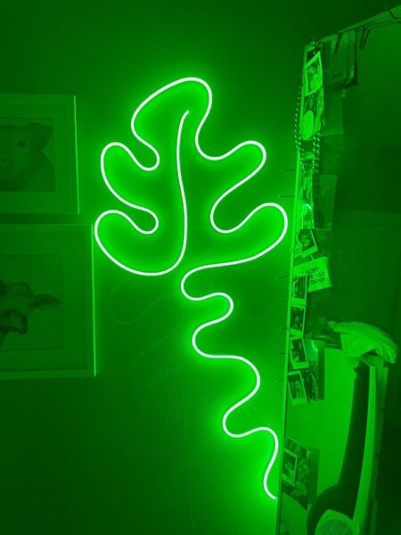 5metres neon lights