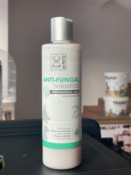 Shampoing antifongique