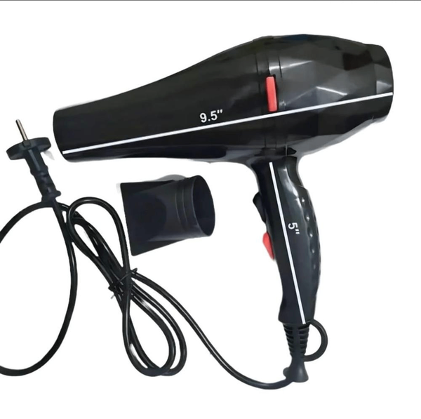 Professional Hair Dryer