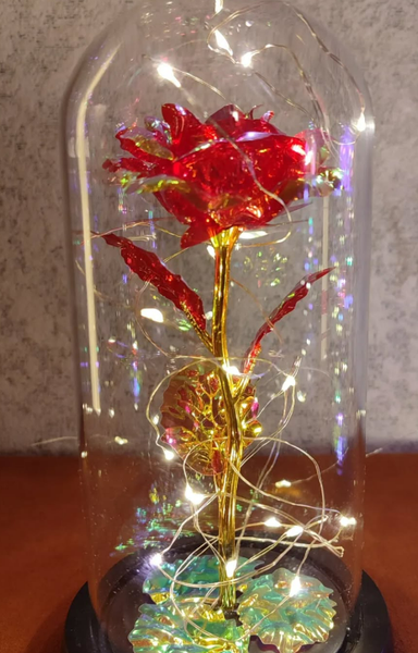 Розы под стеклянным куполом, 🌹роза которая не завянет и будет очень долго радовать глаза😍