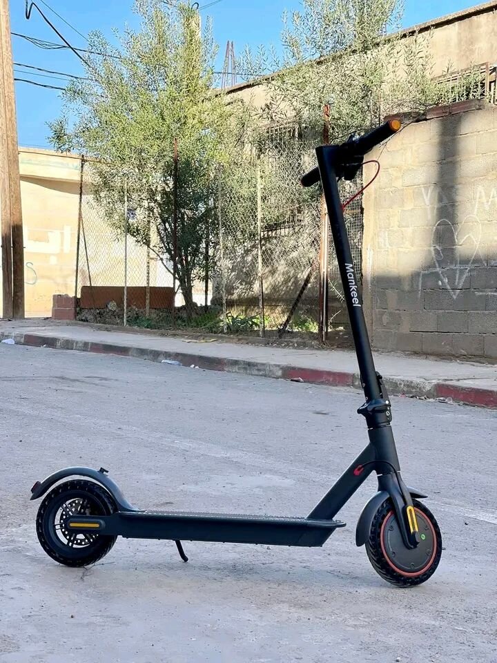 Trottinette Électrique Puissante