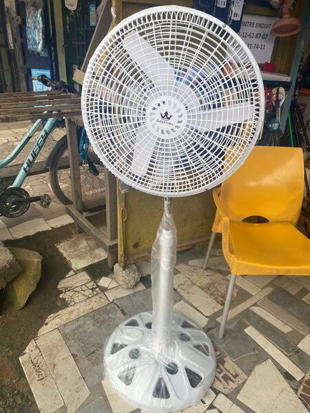 Adjustable Oscillating Pedestal Fan