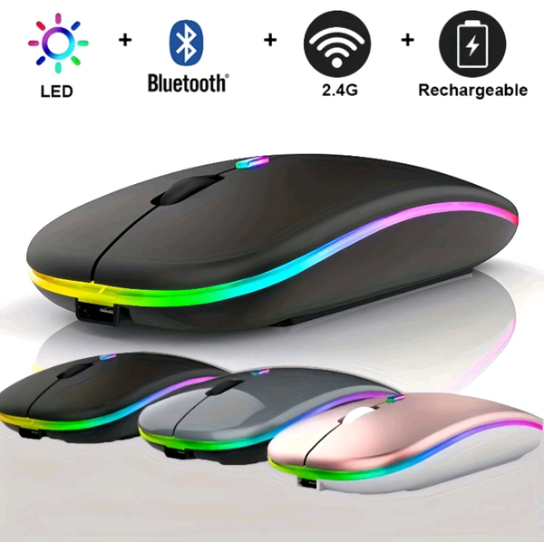 Souris Sans Fil LED Rechargeable