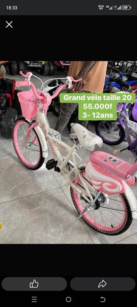 Vélo Enfant Rose 20 Pouces