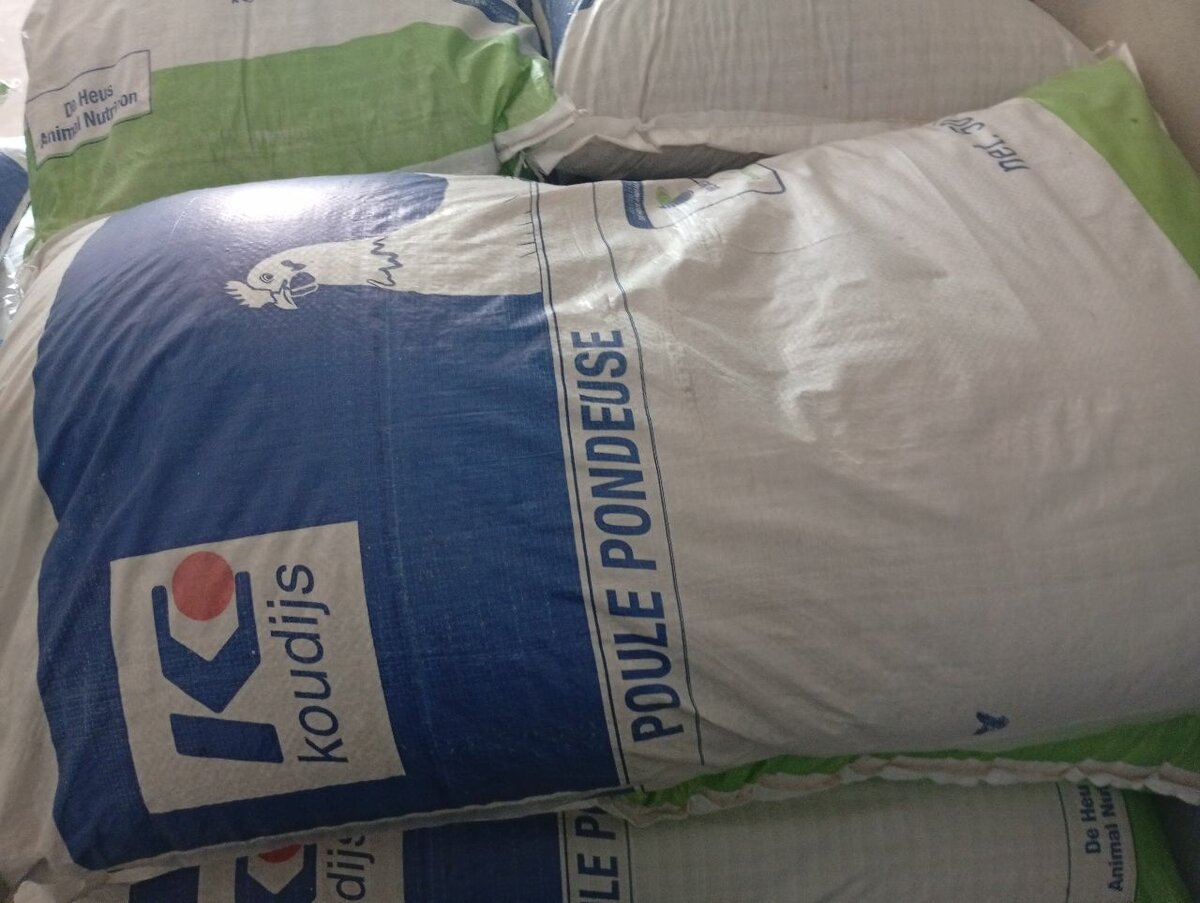 Aliment Ponte1 Pondeuses 50kg