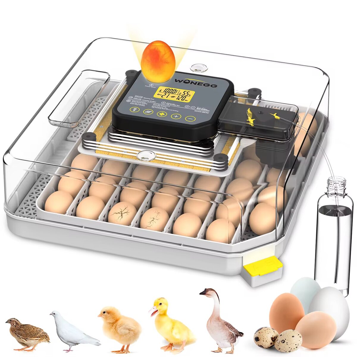 Couveuse automatique 48 oeufs