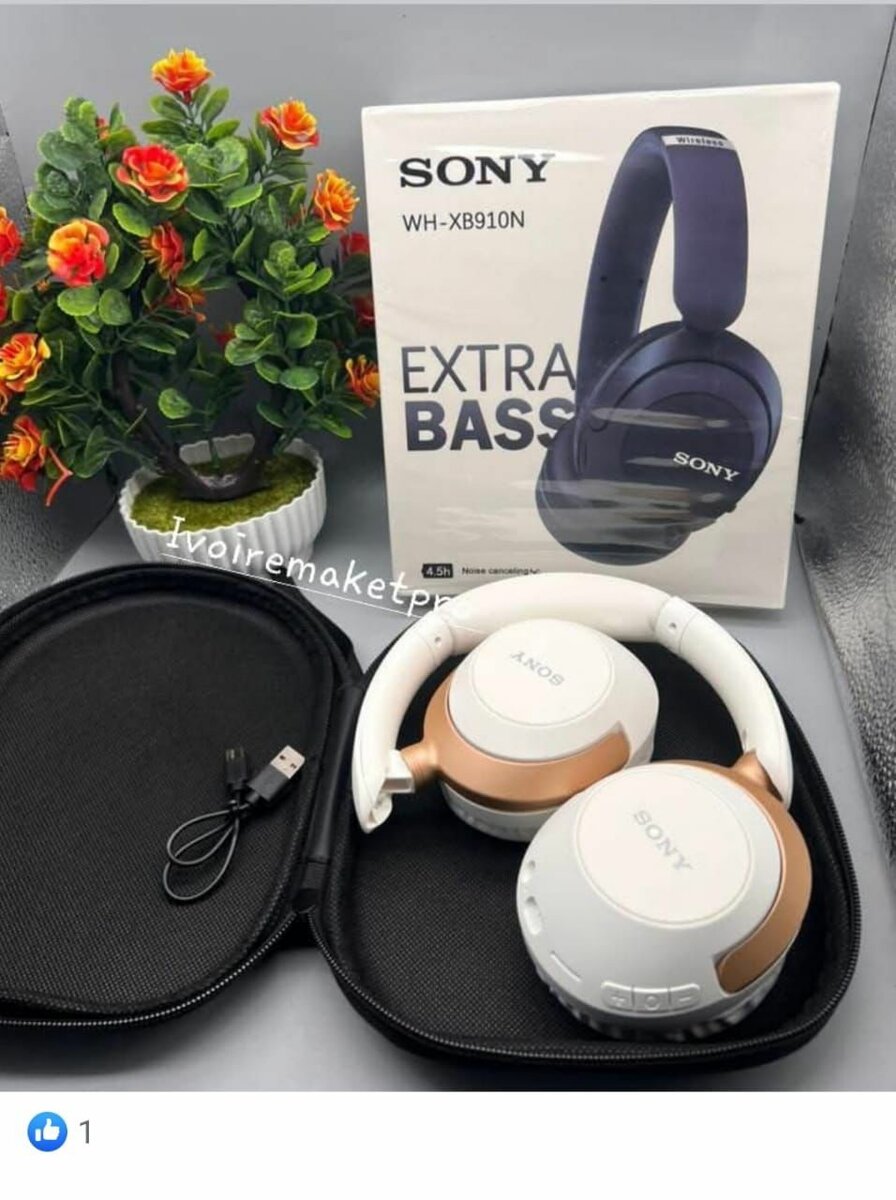 Sony WH-XB910N Casque Bluetooth
