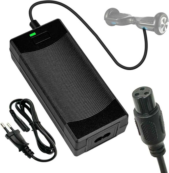 Hoover/ Scooter Board Charger