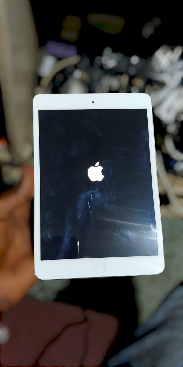 iPad Mini