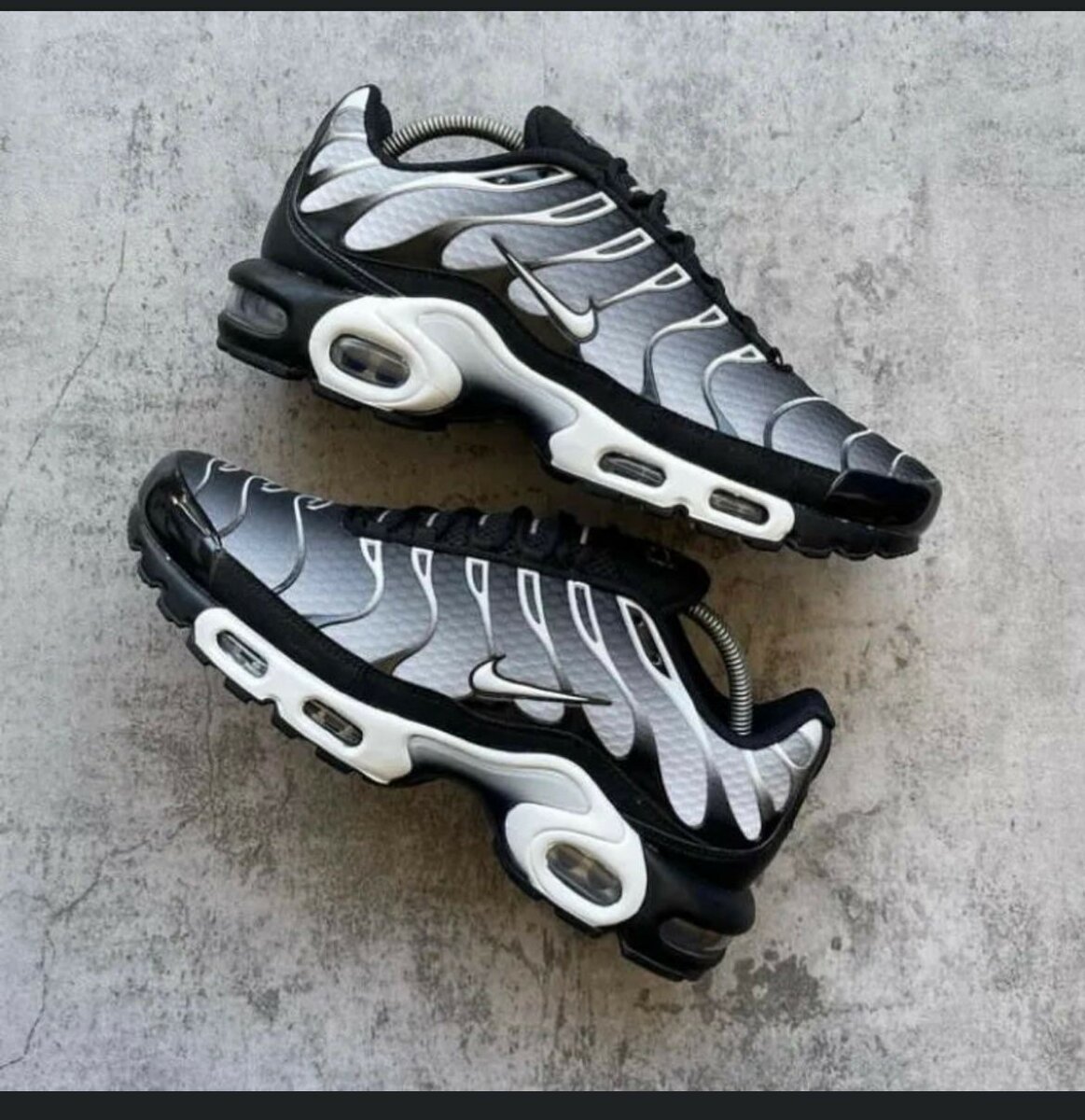 La chaussure et disponible 40@45