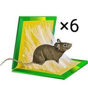 Lot de 6 pièges à souris adhésifs