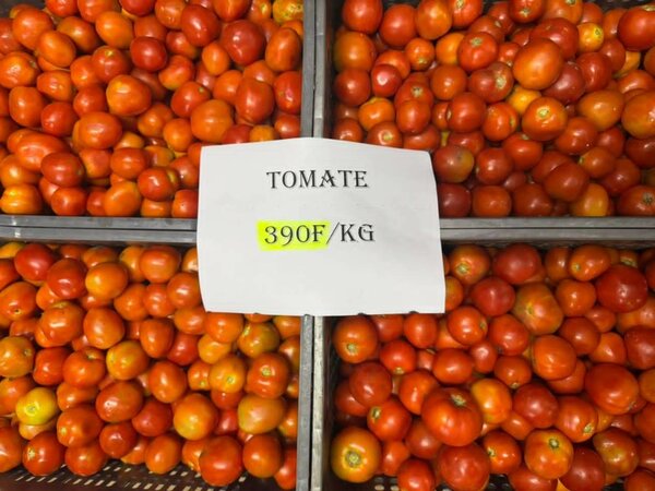 Oignons Rouges Frais