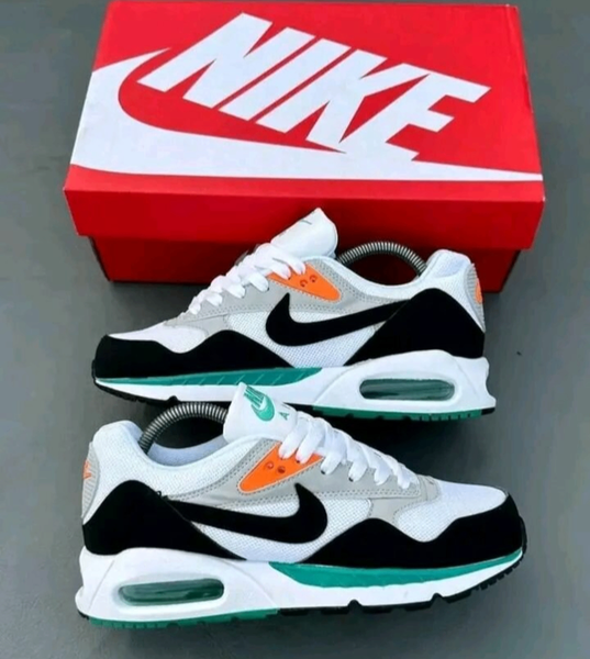Baskets Nike Air Max Homme