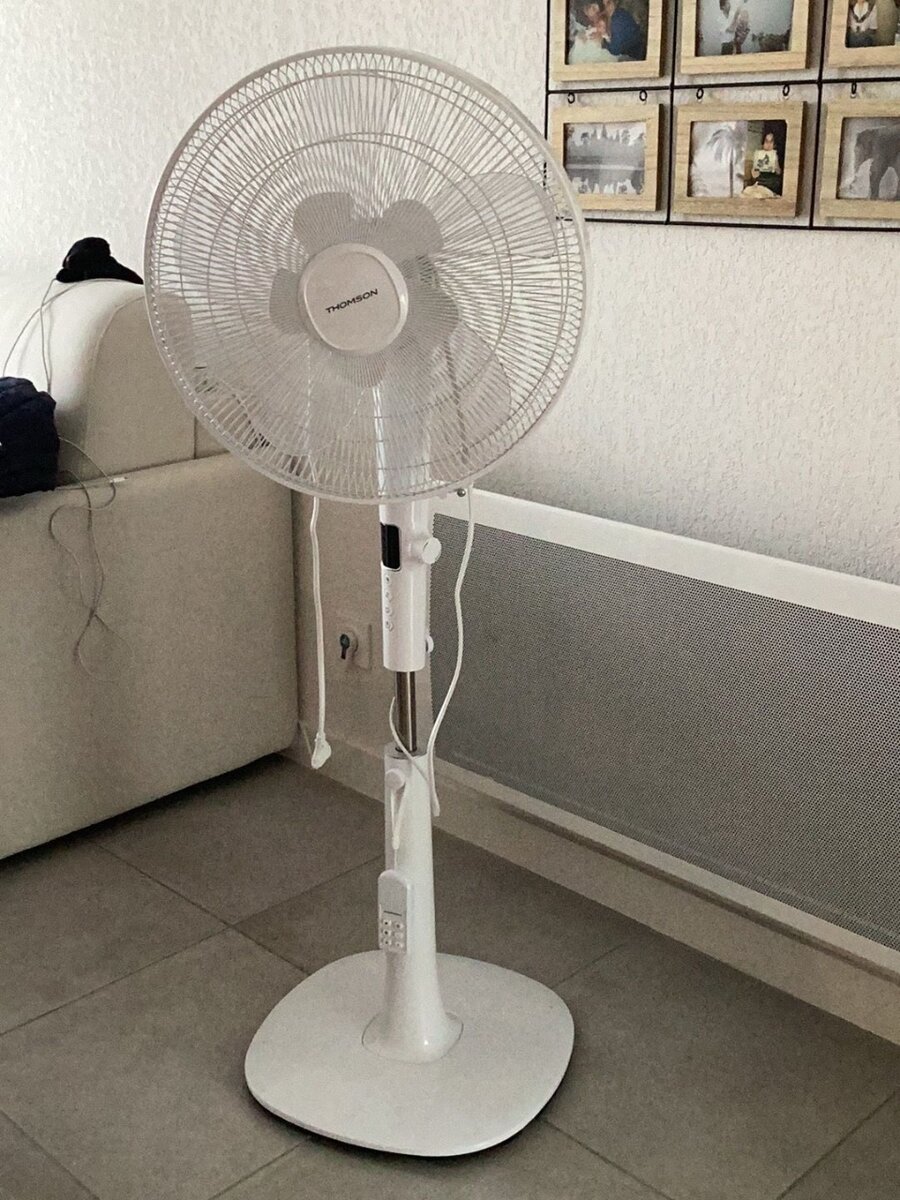 Ventilateur sur pied puissant