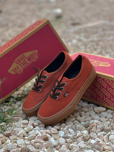 Vans shoes