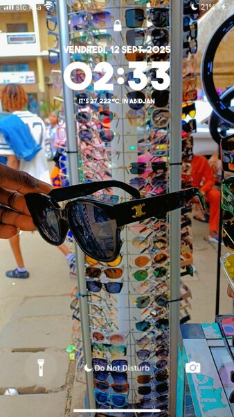 Lunettes de Soleil Élégantes