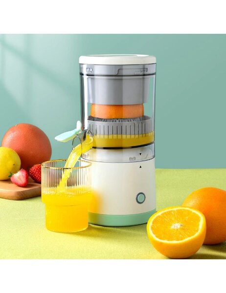 Mini Fruit Juicer
