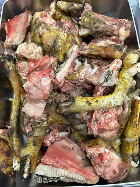 Tête et pattes de mouton