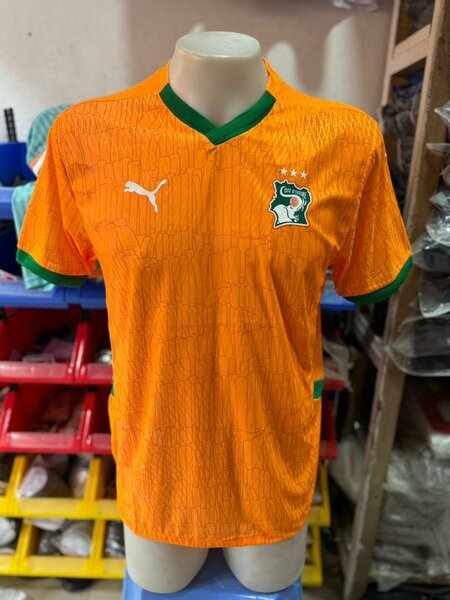 Maillot Côte d'Ivoire Puma