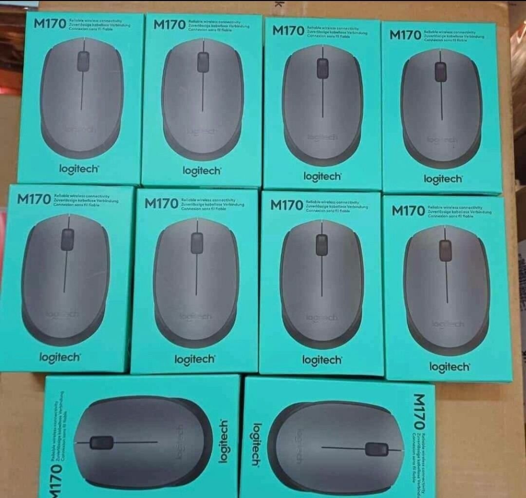 Souris Sans Fil Logitech M170
