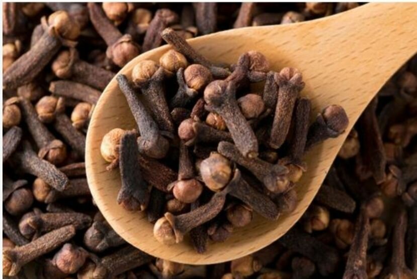 Clous de girofle entiers premium
