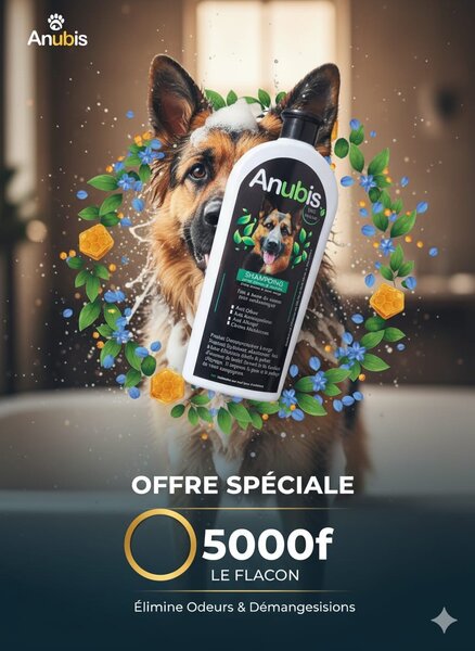 Shampooing Anubis pour Chiens