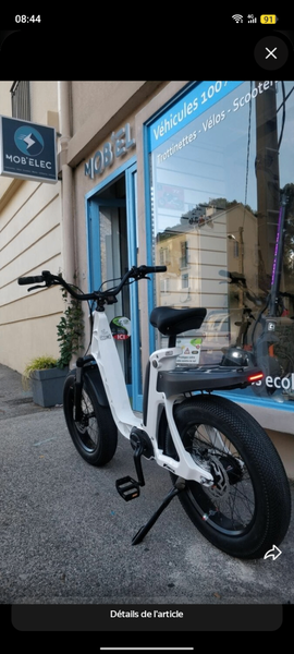 Vélo électrique robuste urbain