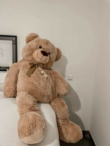 Teddy bear