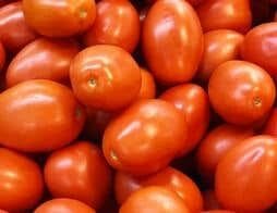 Tomates fraîches et juteuses