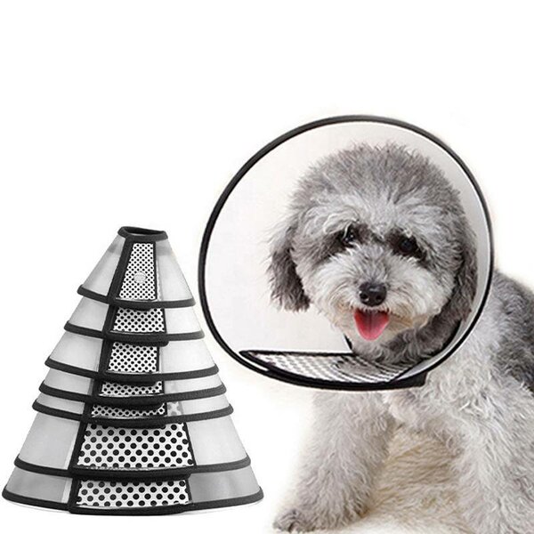 Collier de récupération pour animaux