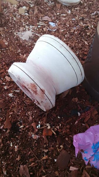 Mortier Binguiste + pilon