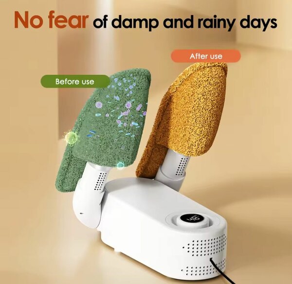 Electronic shoe dryer