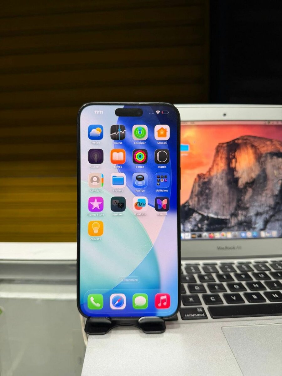 iPhone 15 Pro Max - 256 Go