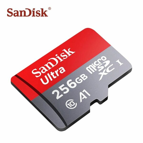 Micro sd Sandisk 256Go