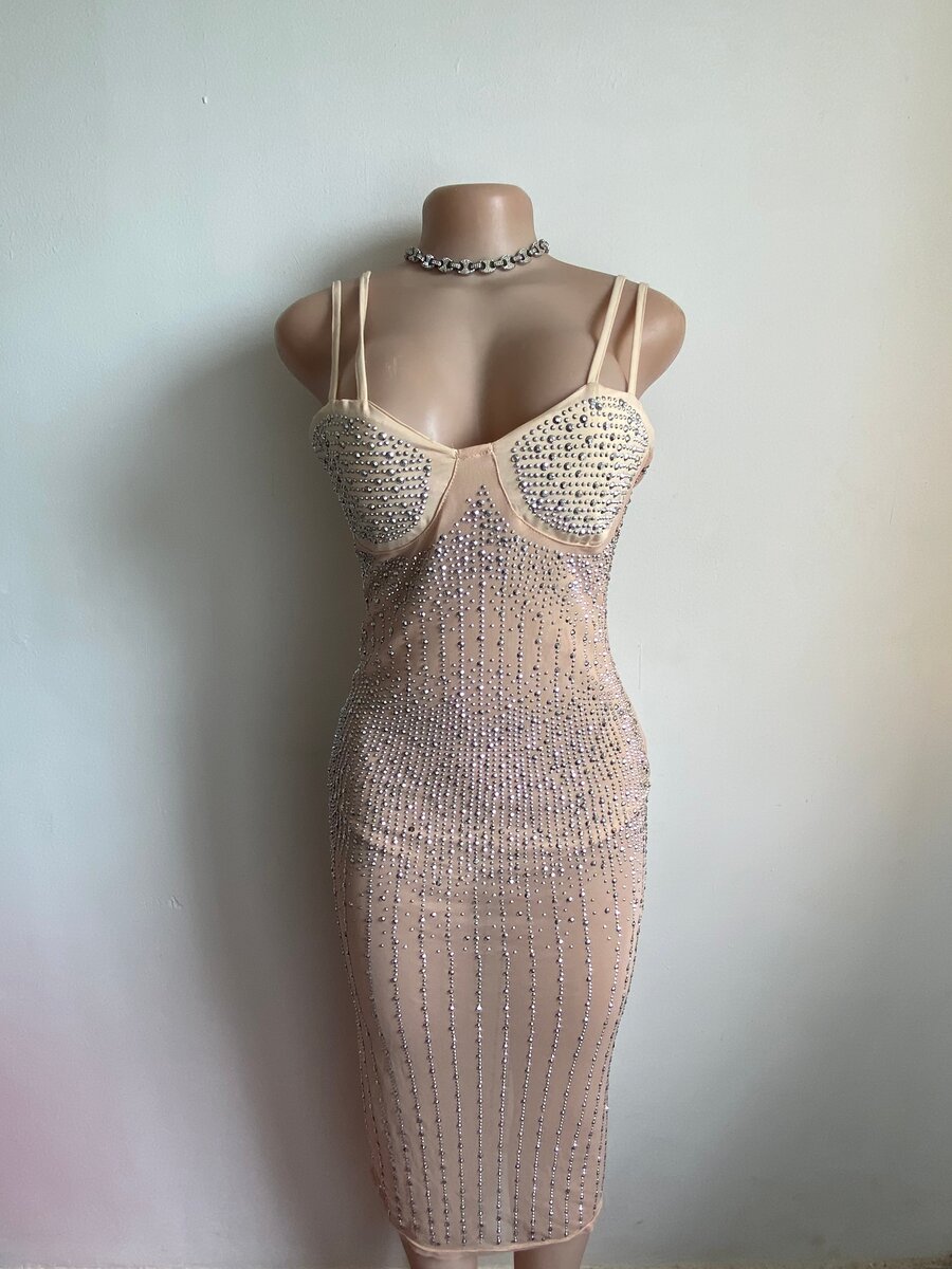 Sparkly Sheer Bodycon Dress