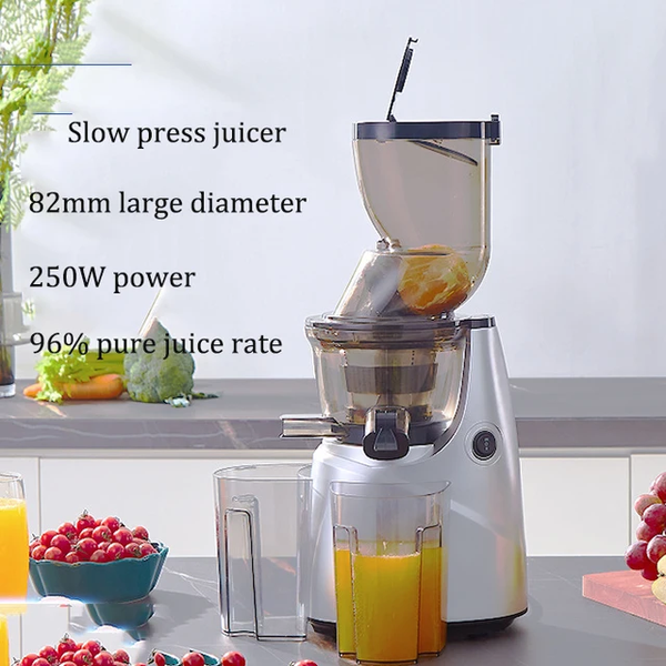 ELECTRIC SLOW JUICER