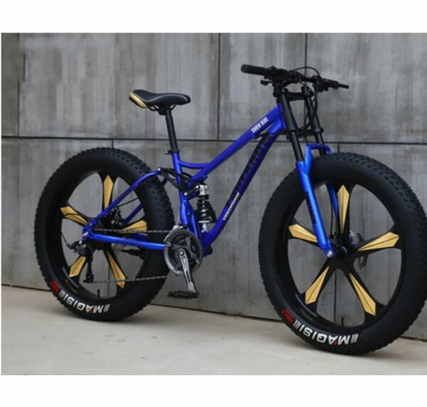 Vélo de montagne Fat Bike