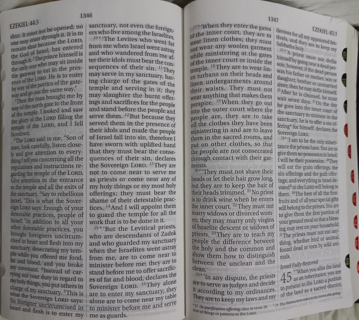 HOLY BIBLE (NIV) GAINT PRINT