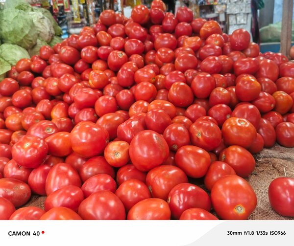 Tomates fraîches juteuses