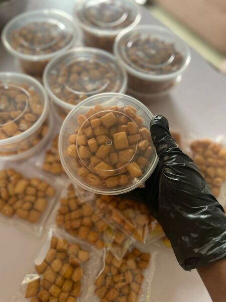 Croquettes Croustillants