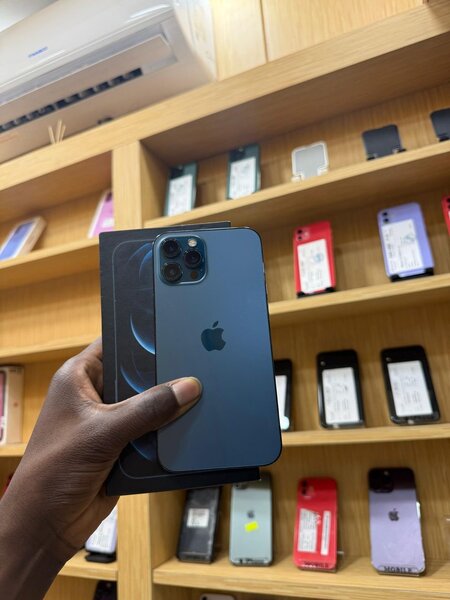 iPhone 12 Pro Max Bleu