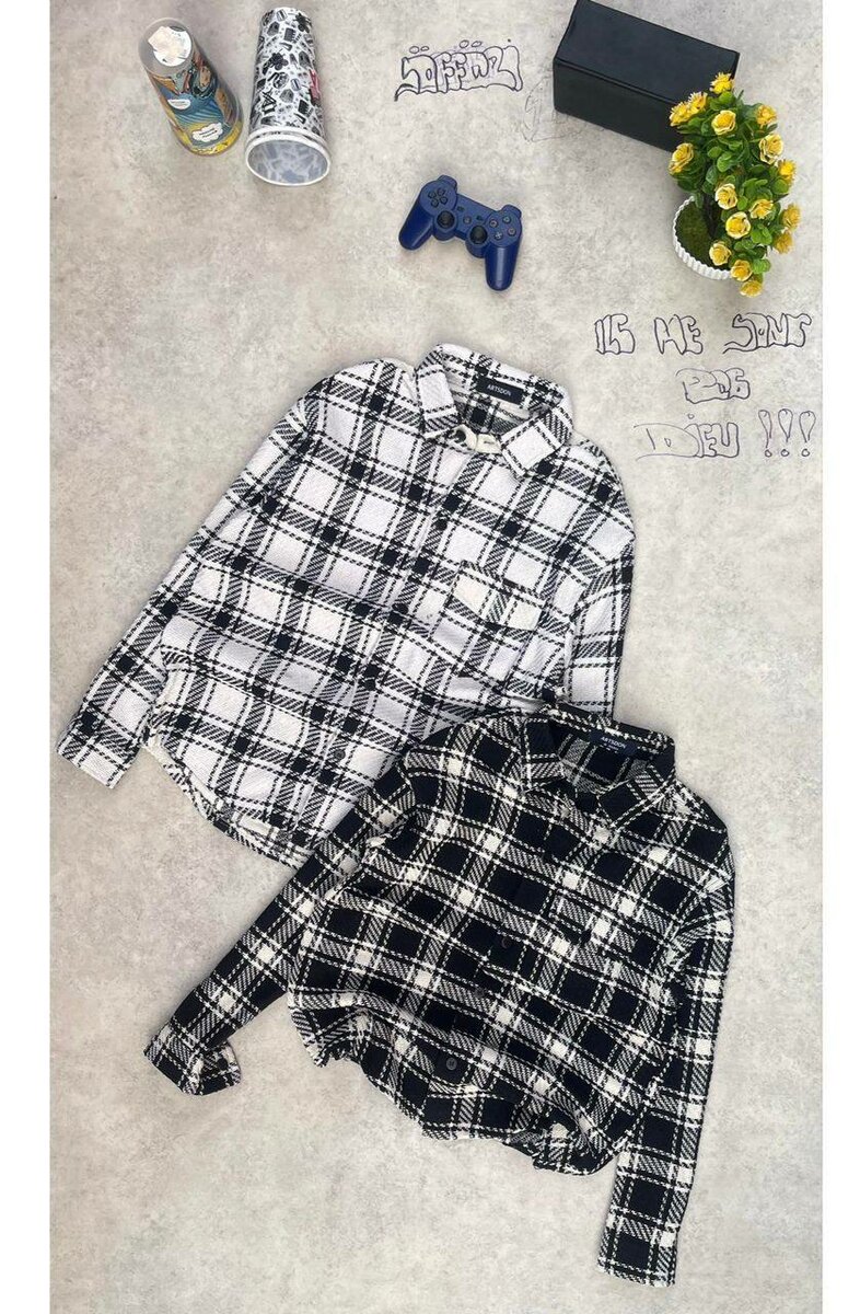 Chemise à carreaux stylée