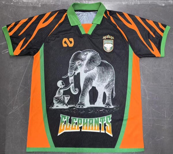 Maillot Côte d'Ivoire