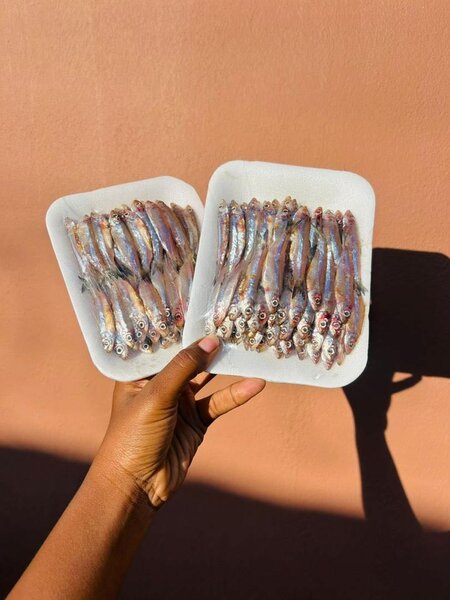 Fresh itezhi tezhi kapenta